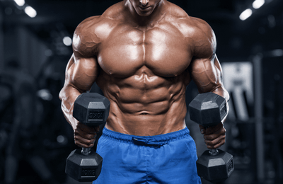 Muscle Recovery and Collagen Synthesis in Bodybuilding with BPC-157